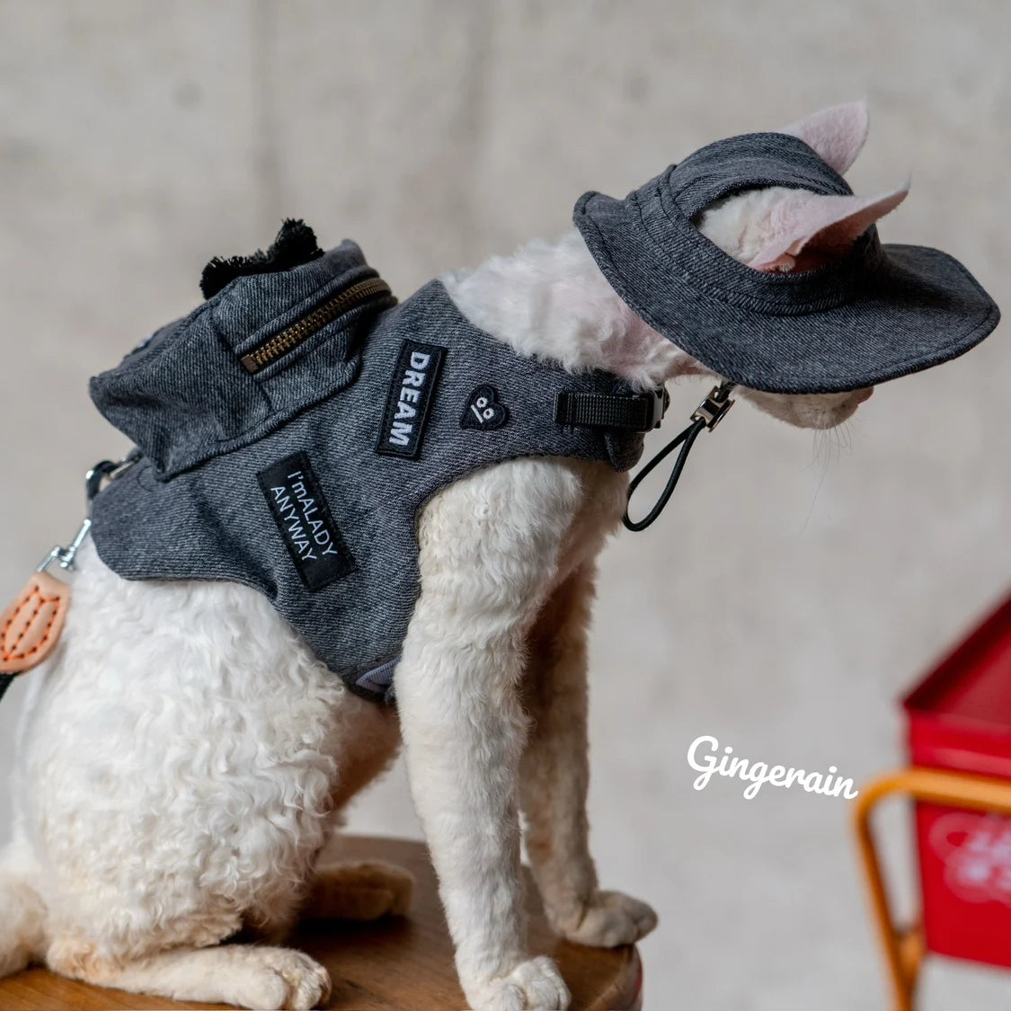 Luxury Cat Carrier Backpack with Harness - Travel Bag for Cats - Deribla Store