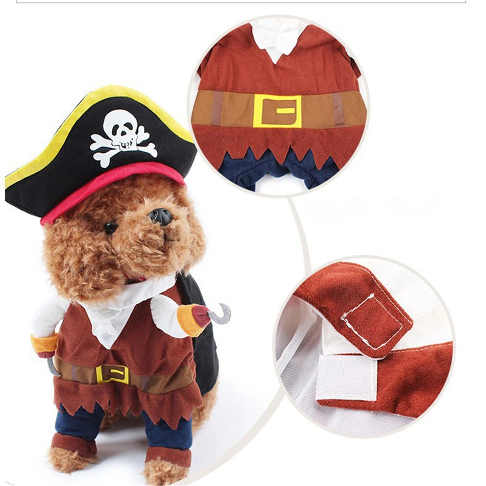 Pet Costume 