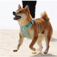 No-Pull Dog Harness - Reflective Nylon with Pocket & Adjustable Fit - Deribla Store