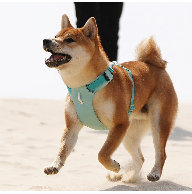 No-Pull Dog Harness - Reflective Nylon with Pocket & Adjustable Fit - Deribla Store