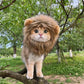 Lion Mane Pet Costume - Funny Cat & Dog Wig Hat with Ears for Parties - Deribla Store