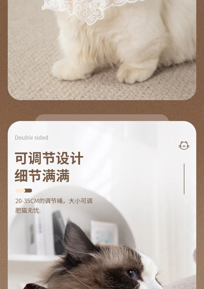 Pearl Lace Bowtie Collar