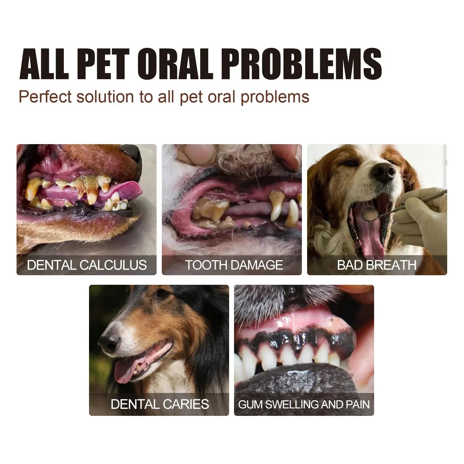 Pet Dental Spray 30ml - Tooth Cleaning & Bad Breath Freshener for Dogs & Cats - Deribla Store