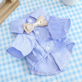 Summer Cat Shirt - Breathable Striped Vest for Cats & Small Dogs - Deribla Store