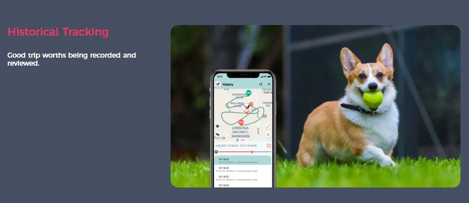 GPS Dog Fence & Tracking System - Wireless Geofencing with Route Recording for Dogs & Cats - Deribla Store