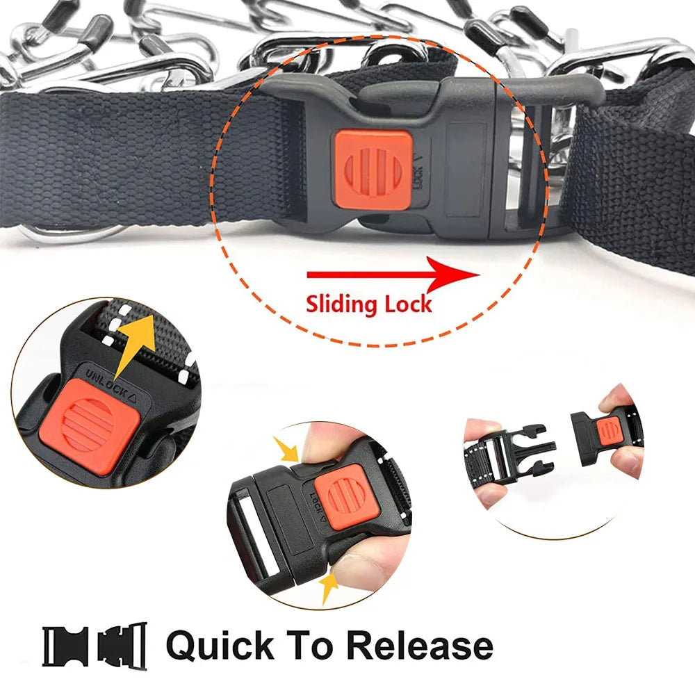 Prong Training Collar for Dogs - Stainless Steel with Rubber Tips for Safe Training - Deribla Store