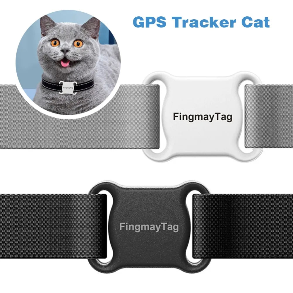 Cat Tracker