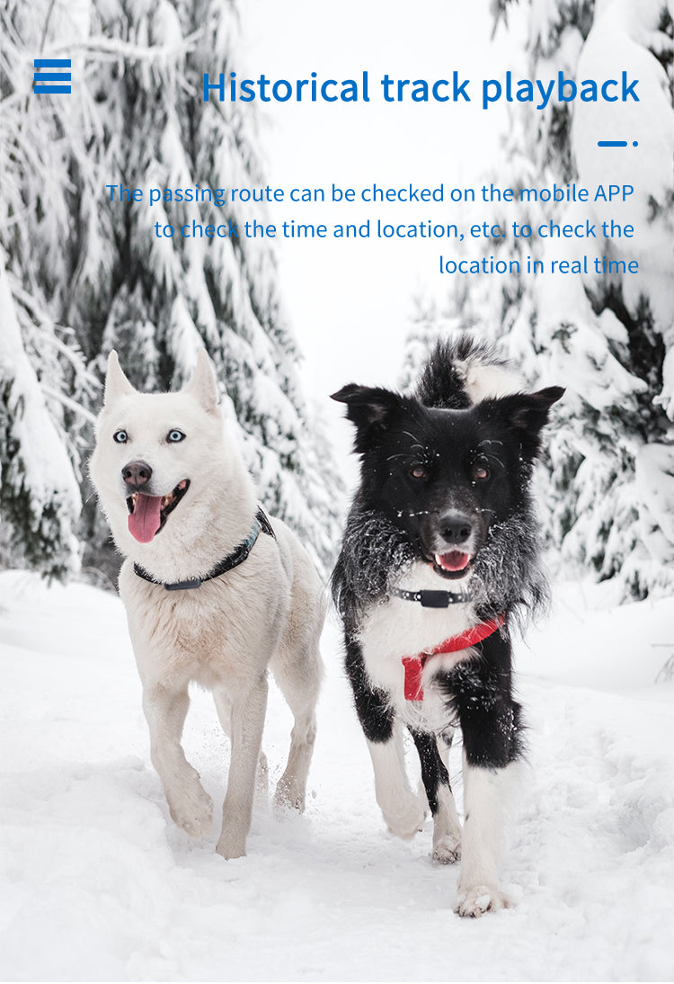 GPS Pet Collar Tracker - Waterproof Anti-Lost Locator with Long Standby & Footprint Tracking - Deribla Store