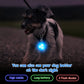 Night Walking Dog Luminous Pendant - LED Safety Light for Pet Collars (1-2 Pcs) - Deribla Store