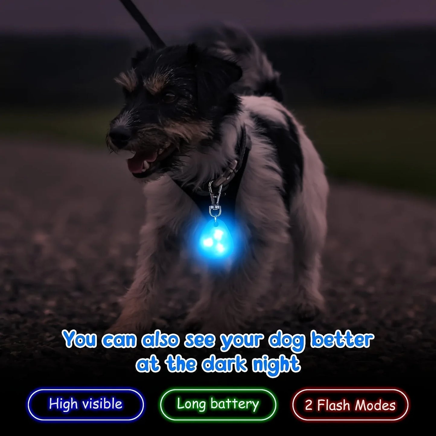 Night Walking Dog Luminous Pendant - LED Safety Light for Pet Collars (1-2 Pcs) - Deribla Store