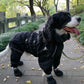 Waterproof Dog Raincoat - Reflective Winter Jacket with Hood for Small to Large Dogs - Deribla Store