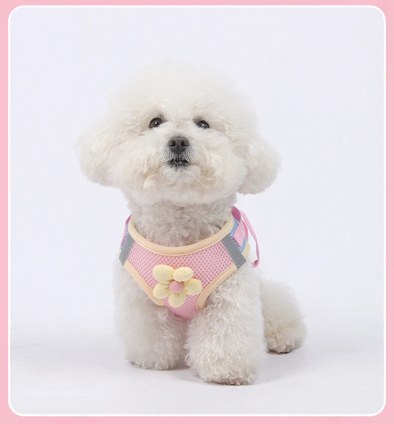 Mesh Dog Harness Leash Set