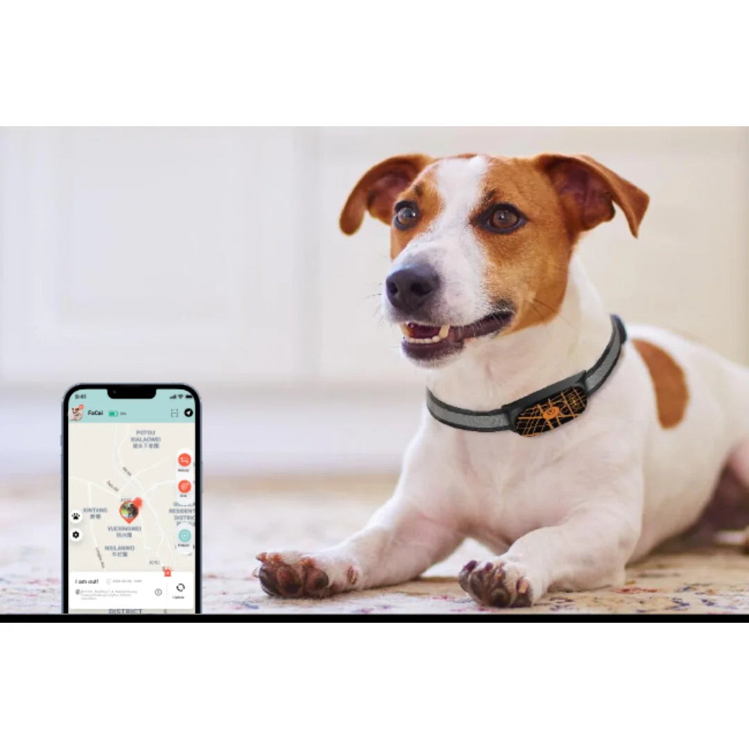 GPS Dog Fence & Tracking System - Wireless Geofencing with Route Recording for Dogs & Cats - Deribla Store