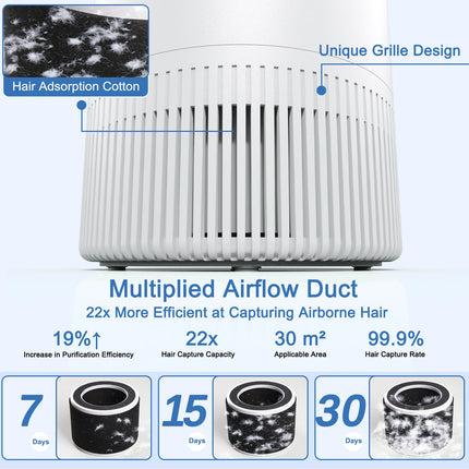 H13 HEPA Air Purifie