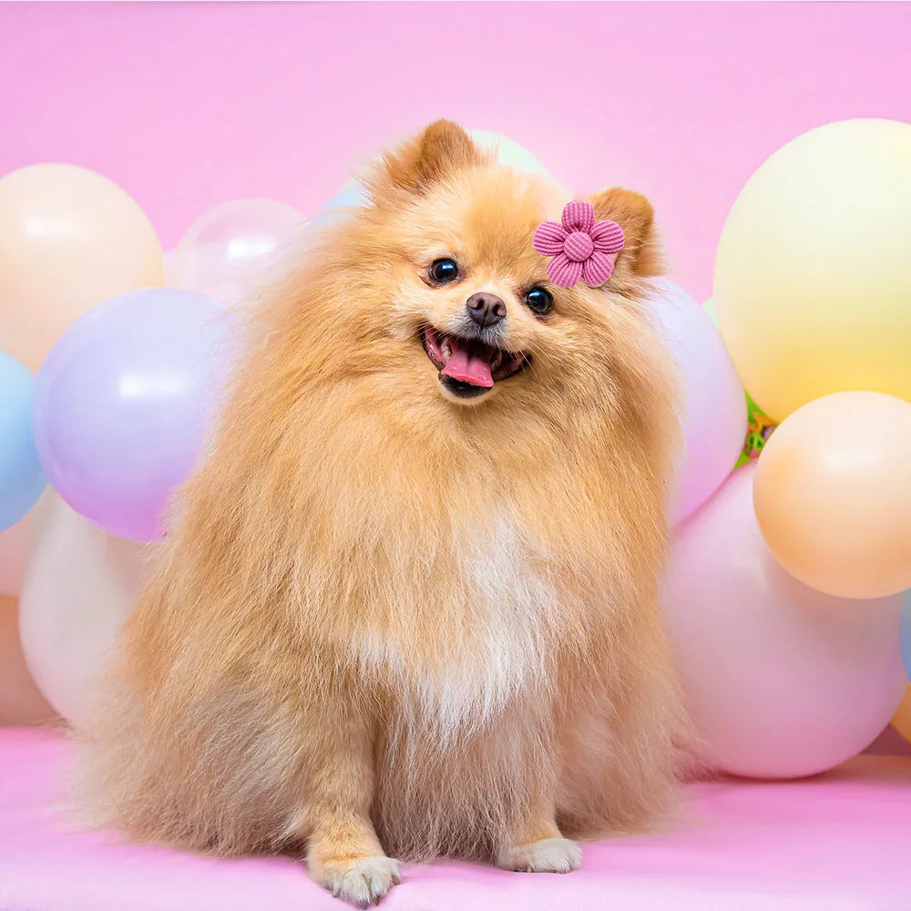 Dog Grooming Hair Bows 10PCS