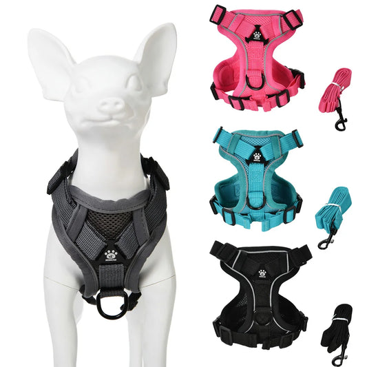 Dog Harness Leash Set 