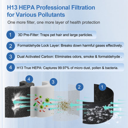 H13 HEPA Air Purifie