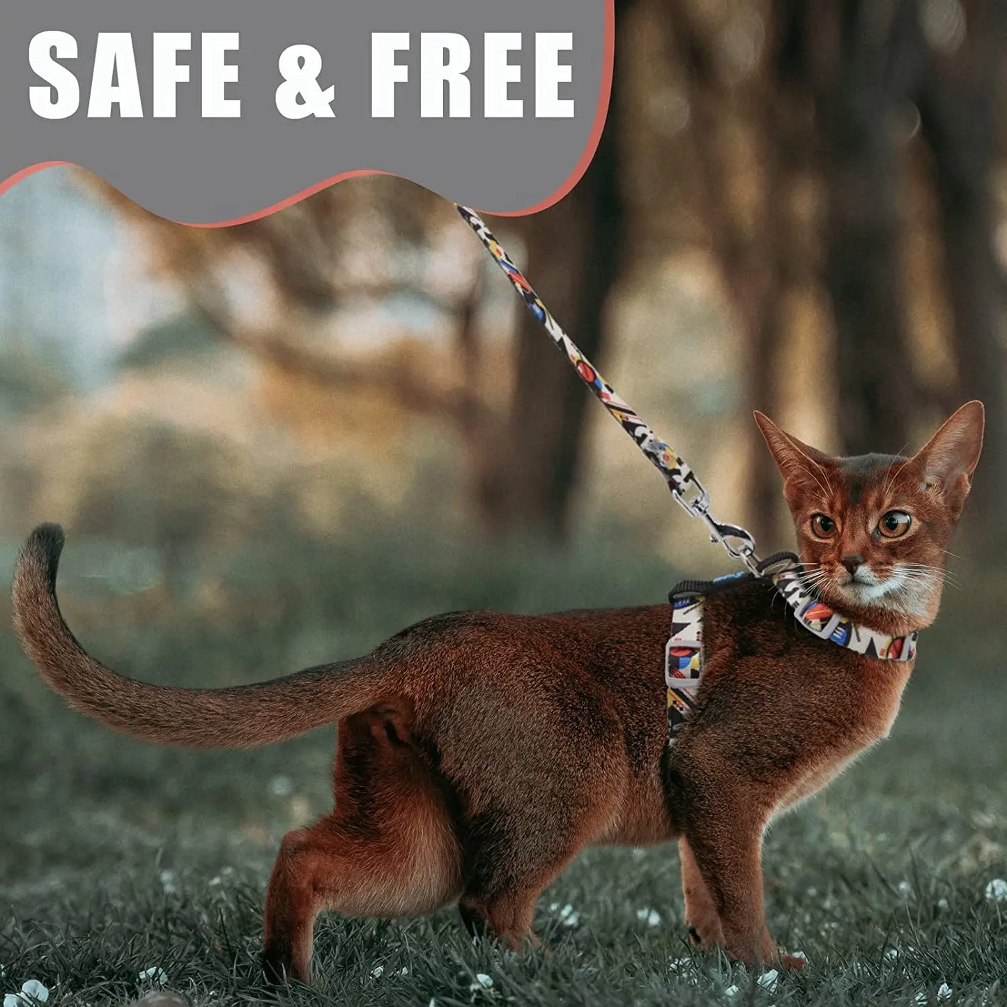 Premium Leather Cat Leash - 1.5M Walking & Training Lead for Cats & Small Dogs - Deribla Store