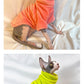 Cat Sweater - Soft Wool Winter Coat for Sphinx & Small Cats - Deribla Store