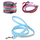 Dog Leash Rope Seat - Heavy Duty Double Lead for Beach & Travel - Deribla Store