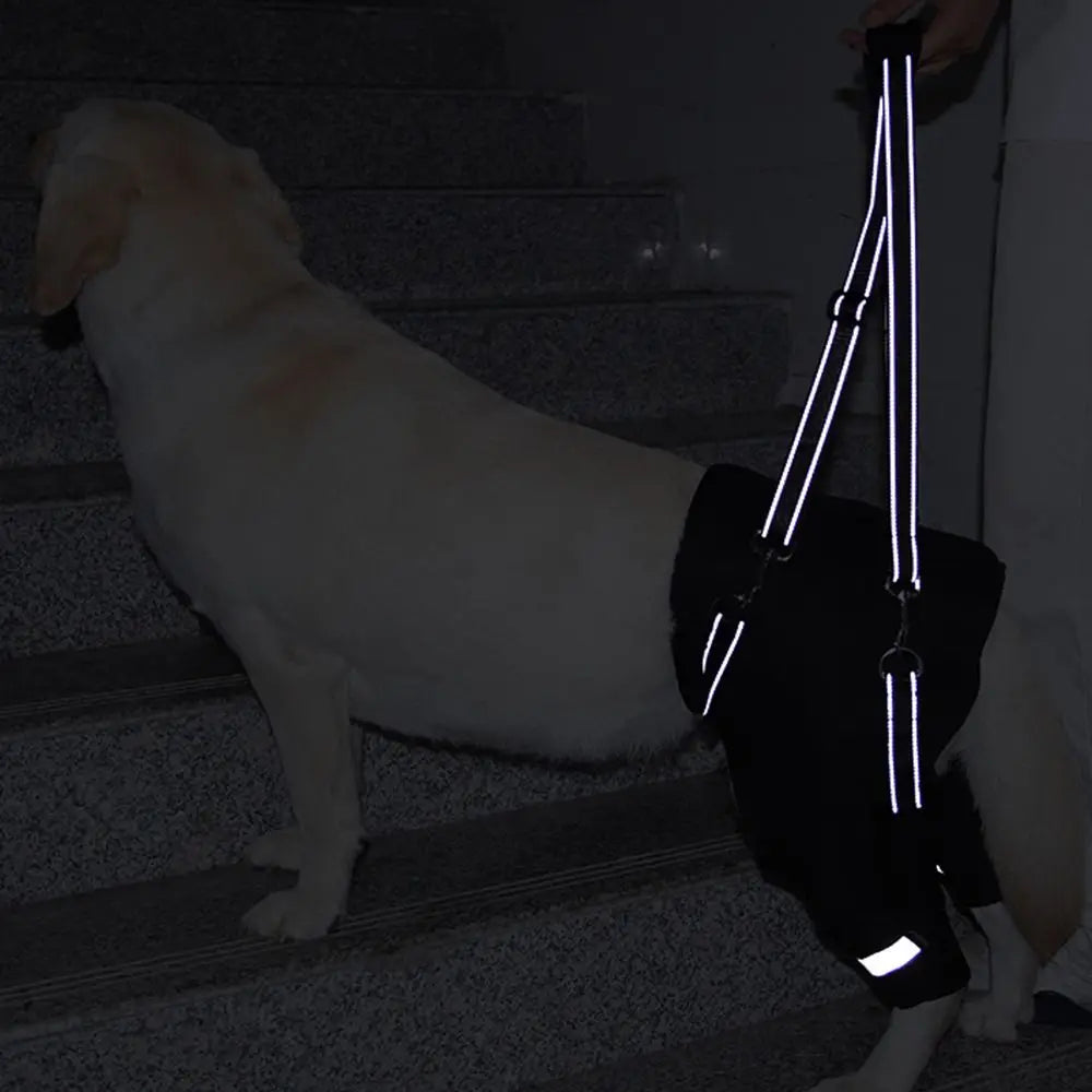 Dog Lift Harness - Adjustable Rear Leg Support with Padded Handle for Senior Dogs - Deribla Store