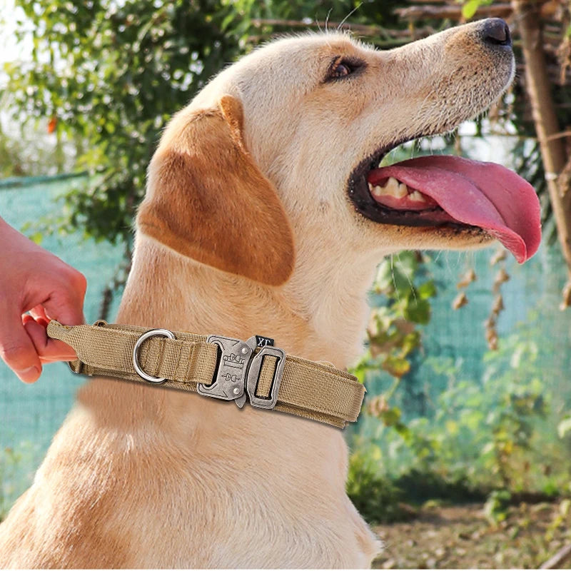 Tactical Dog Collar with Handle - Heavy-Duty Quick-Release Military Collar for Large Dogs - Deribla Store