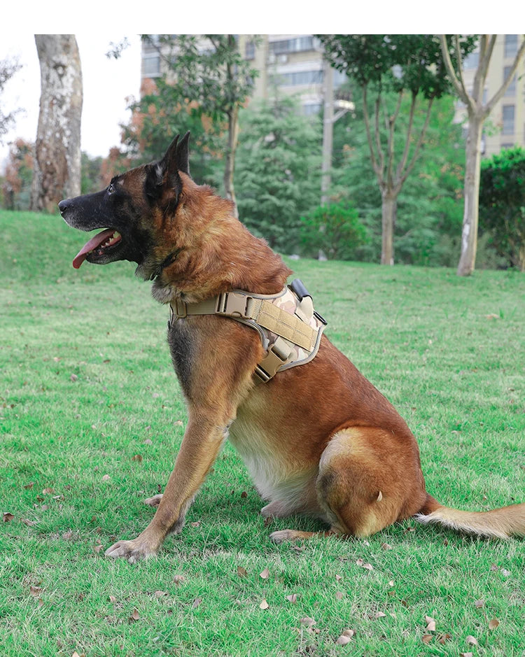 Tactical Dog Harness