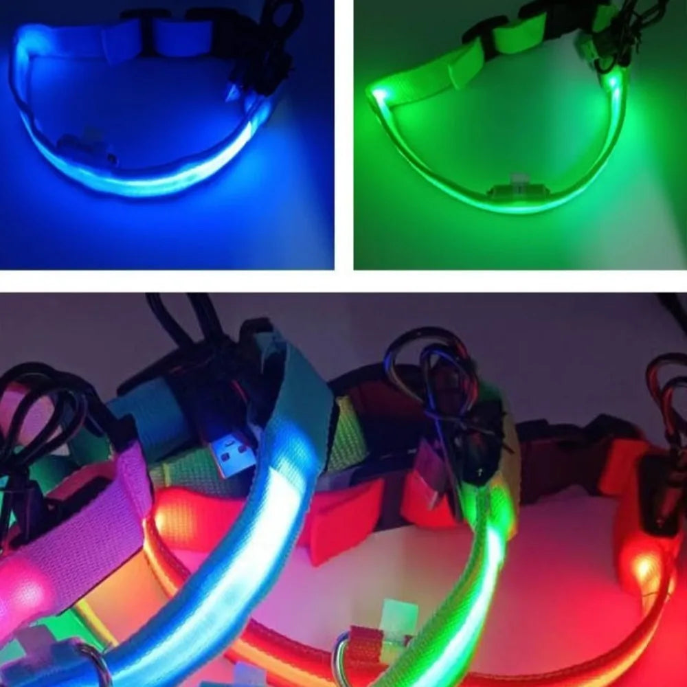 LED Dog Harness 