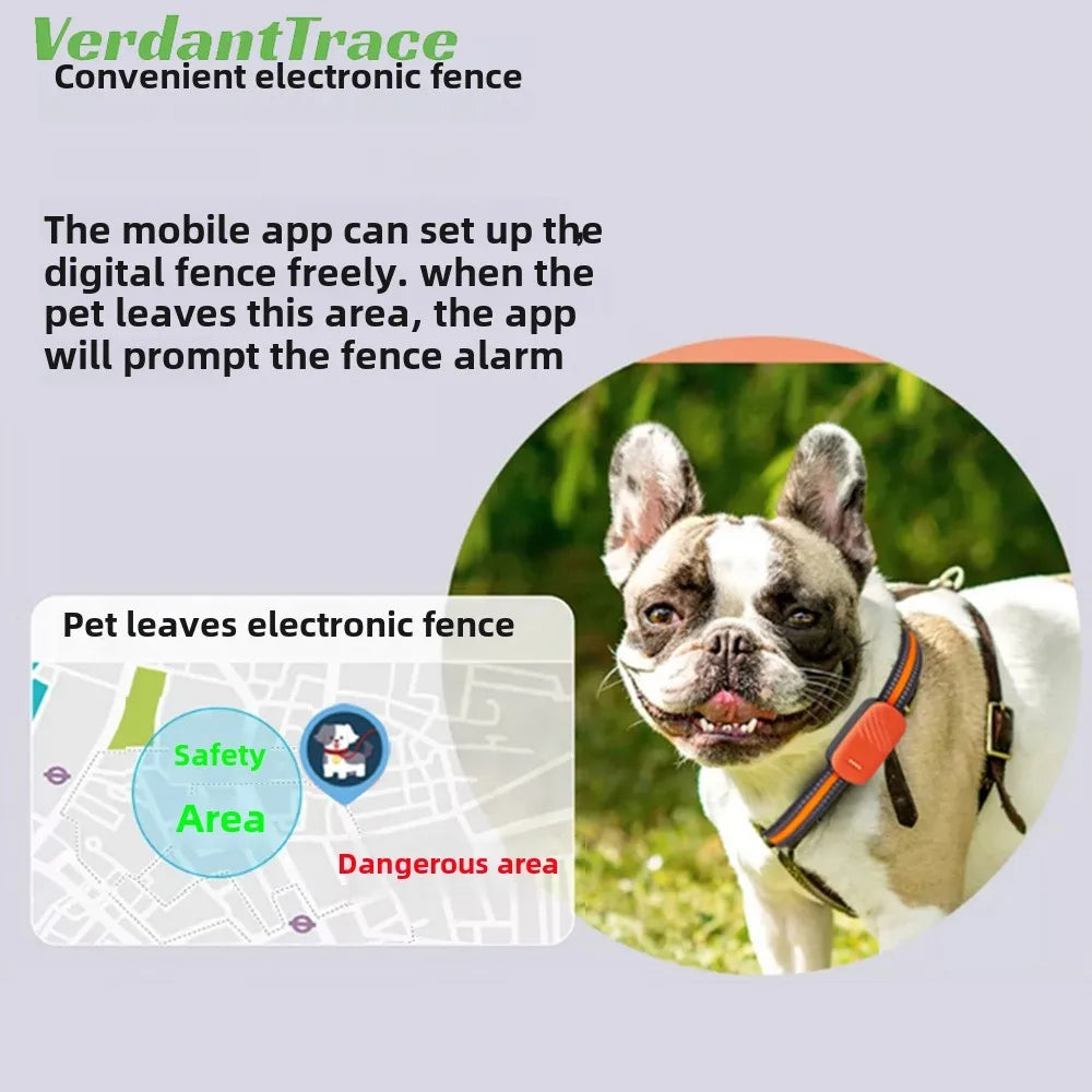 4G GPS Pet Tracker