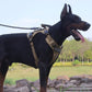 Tactical Dog Harness - Reflective No-Pull Vest for Large Dogs with Handle - Deribla Store