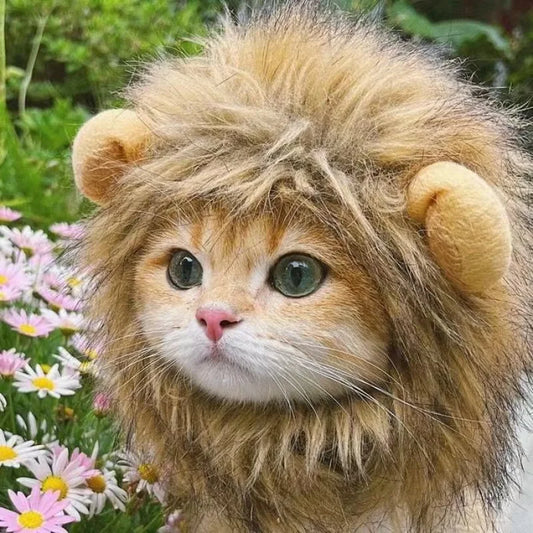 Lion Mane Pet Costume - Funny Cat & Dog Wig Hat with Ears for Parties - Deribla Store