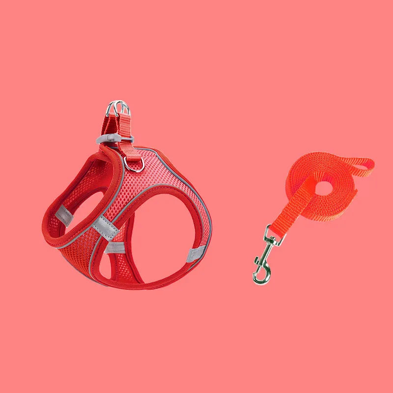 Escape-Proof Cat Harness - Adjustable Breathable Vest with Leash for Kittens - Deribla Store