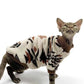 Autumn Winter Dog Clothes - Warm Plush Ethnic Style Sweater for Small Dogs & Cats - Deribla Store