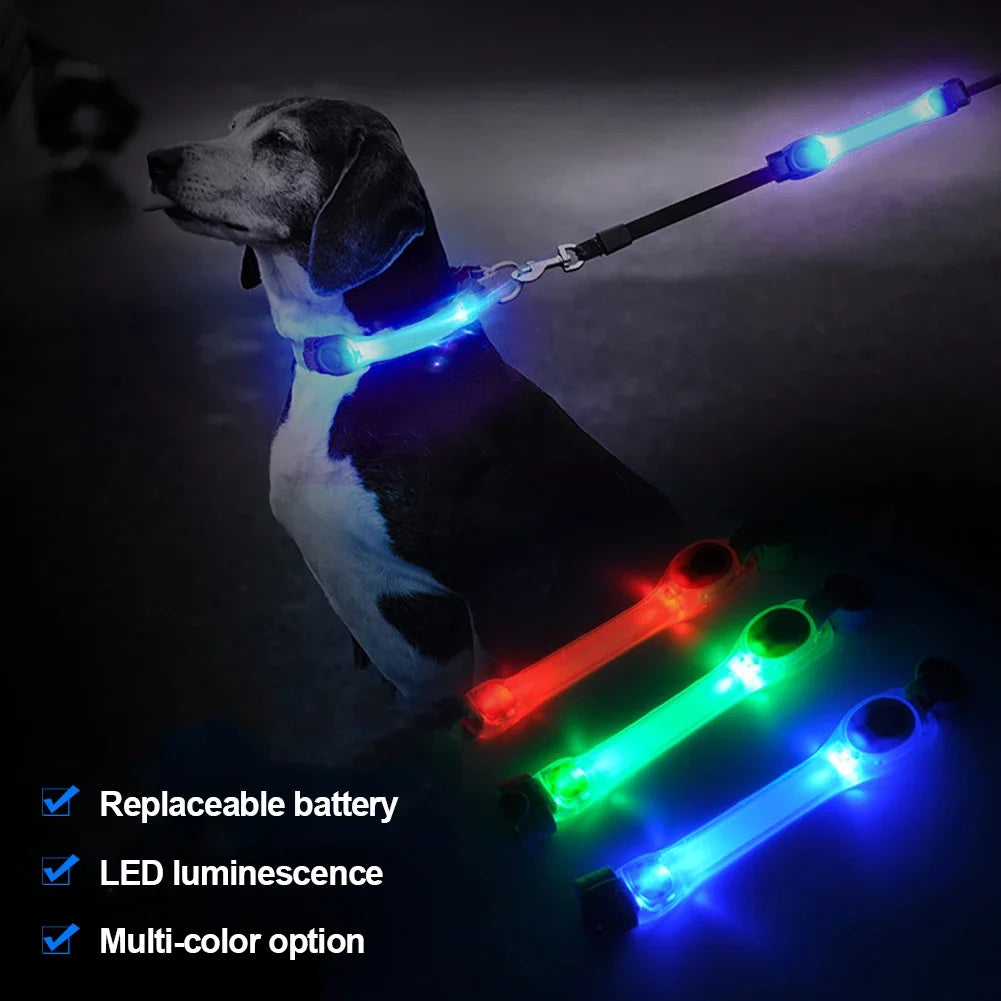 LED Dog Collar - Waterproof Glowing Safety Collar with USB Rechargeable Light - Deribla Store
