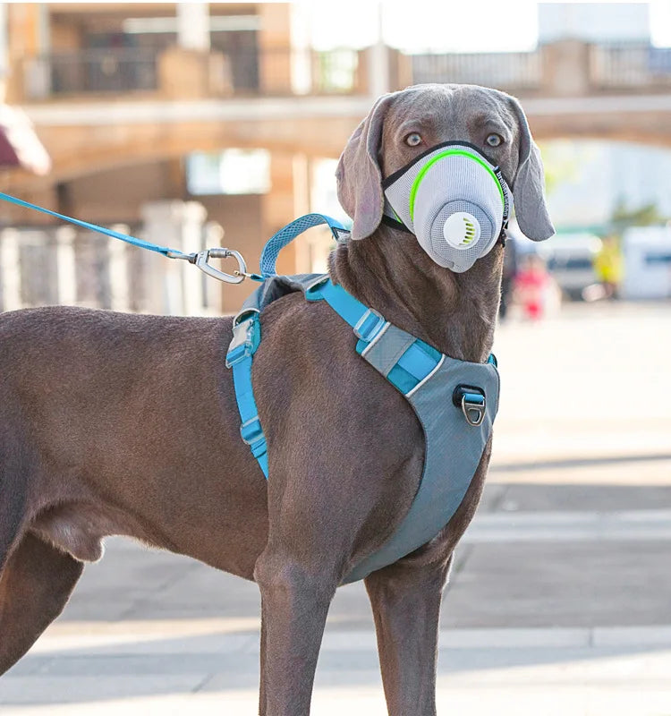 Dog Mask - Reusable Breathable Air Filter Respirator for Smoke & Gas Protection - Deribla Store