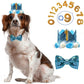 Dog Cat Birthday Crown Hat & Bow Tie Set - Reusable Party Headband with Numbers 0-9 - Deribla Store