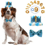 Dog Cat Birthday Crown Hat & Bow Tie Set - Reusable Party Headband with Numbers 0-9 - Deribla Store