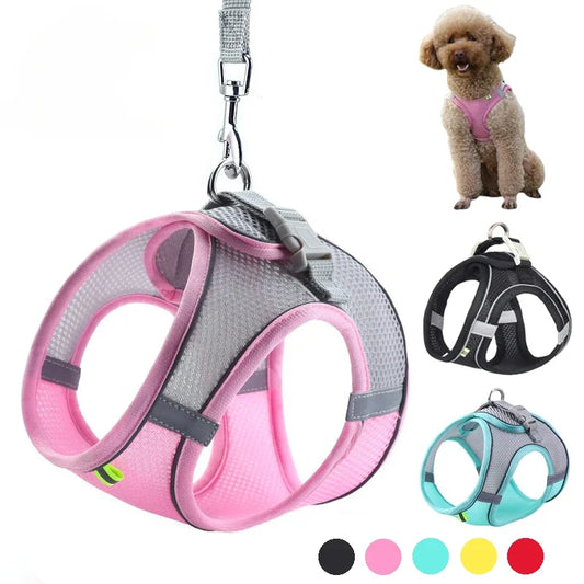 Adjustable Puppy Harness & Leash Set - Soft Vest for Small Dogs, Chihuahuas & French Bulldogs - Deribla Store