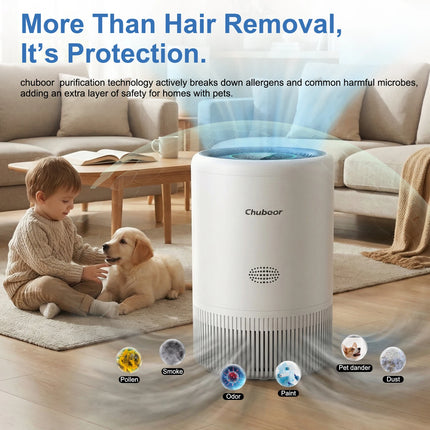 H13 HEPA Air Purifie