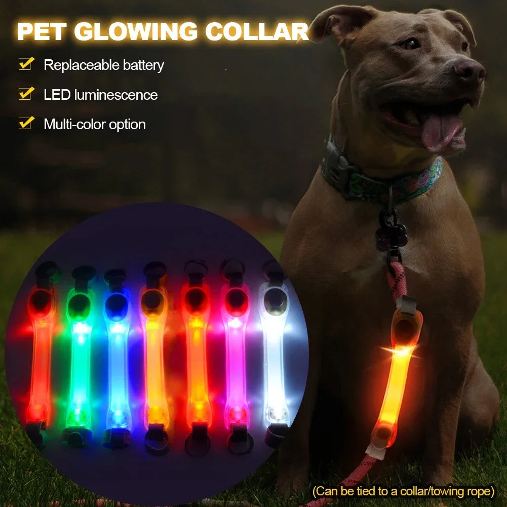 LED Dog Collar - Waterproof Glowing Safety Collar with USB Rechargeable Light - Deribla Store