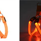 LED Dog Harness 