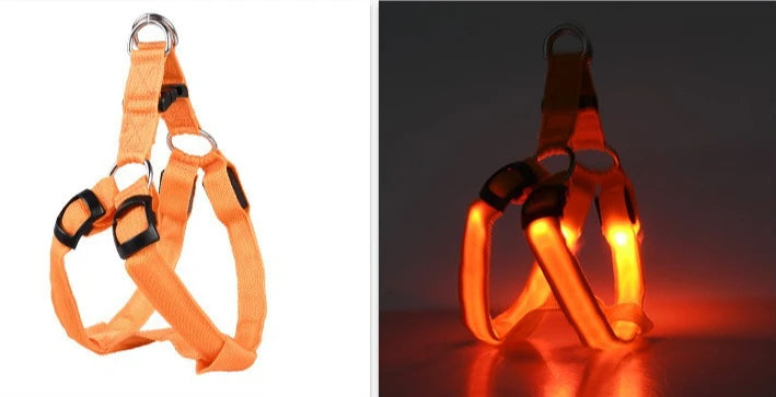LED Dog Harness 