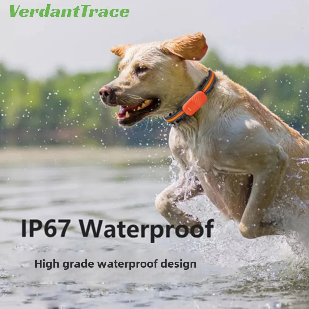 4G GPS Pet Tracker