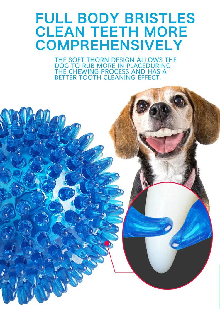 Pet Toy Ball - Sounding Tooth Cleaning Thorn Ball for Dogs & Cats - Deribla Store