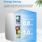 Mini Fridge 6L 12V/220V