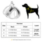 Warm Dog Harness Leash Set 
