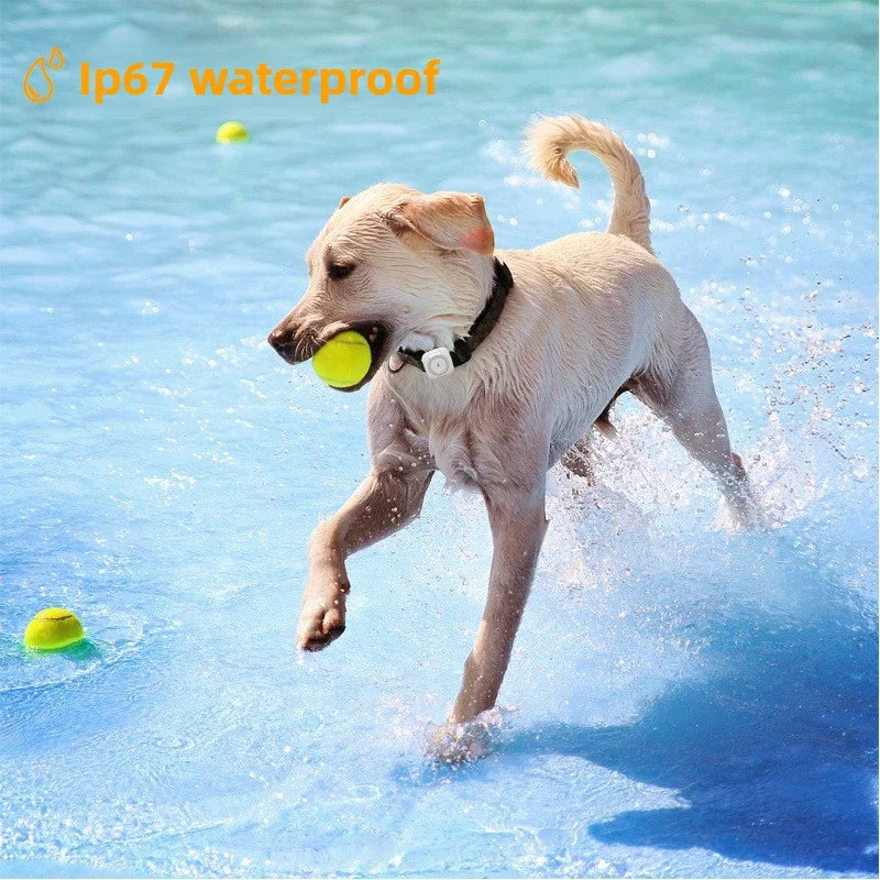 Smart Pet GPS Tracker