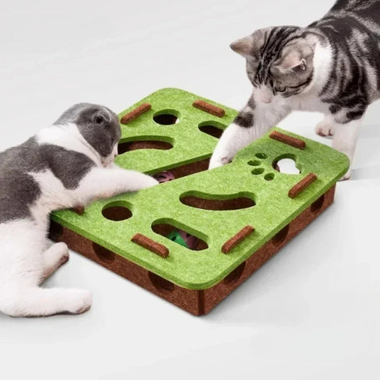 Interactive Cat Puzzle Toy - Mental Stimulation Maze Box for Indoor Cats - Deribla Store