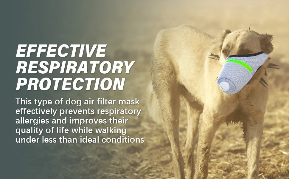 Dog Mask - Reusable Breathable Air Filter Respirator for Smoke & Gas Protection - Deribla Store