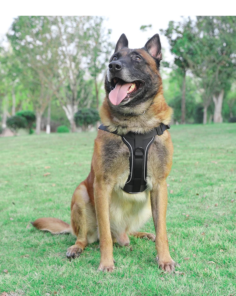 Tactical Dog Harness